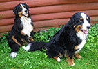 Denise med sonen Lancelot