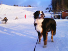 Clazzic i skidbacken