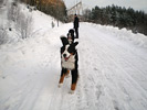 Promenad